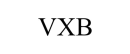 VXB trademark