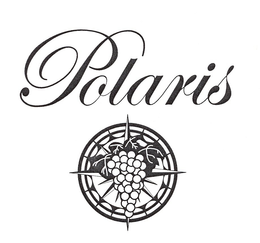 POLARIS trademark
