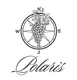POLARIS trademark