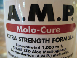 MOLO-CURE trademark