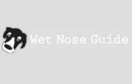 WET NOSE GUIDE trademark