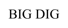BIG DIG trademark