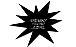 VIBRANT FINISH ENHANCED COLOR TONES trademark