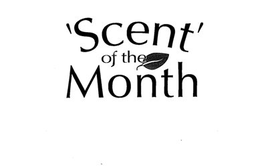 'SCENT' OF THE MONTH trademark