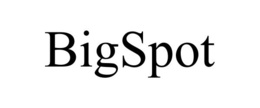 BIGSPOT trademark