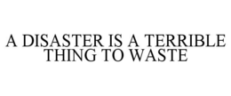 A DISASTER IS A TERRIBLE THING TO WASTE trademark