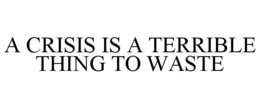 A CRISIS IS A TERRIBLE THING TO WASTE trademark