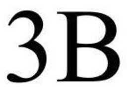 3B trademark