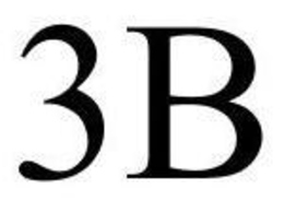 3B trademark