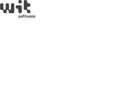 WIT SOFTWARE trademark