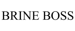 BRINE BOSS trademark