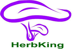 HERBKING trademark