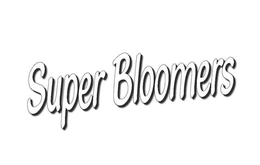 SUPER BLOOMERS trademark