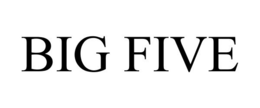 BIG FIVE trademark