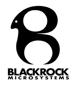 BLACKROCK MICROSYSTEMS trademark