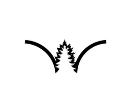 W trademark