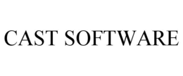 CAST SOFTWARE trademark