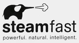 STEAMFAST POWERFUL. NATURAL. INTELLIGENT. trademark