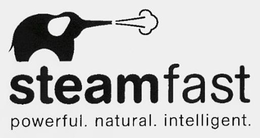 STEAMFAST POWERFUL. NATURAL. INTELLIGENT. trademark