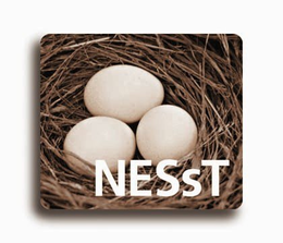 NESST trademark