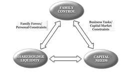 FAMILY CONTROL SHAREHOLDER LIQUIDITY CAPITAL NEEDS FAMILY FORCES/PERSONAL CONSTRAINTS BUSINESS TASKS/CAPITAL MARKET CONSTRAINTS trademark