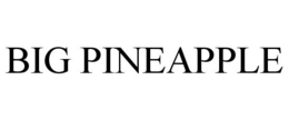BIG PINEAPPLE trademark