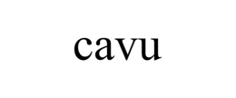 CAVU trademark