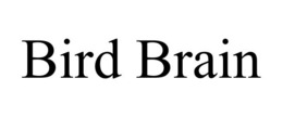 BIRD BRAIN trademark