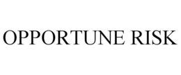 OPPORTUNE RISK trademark