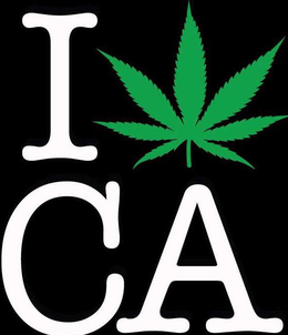 I CA trademark
