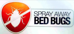 SPRAY AWAY BED BUGS trademark