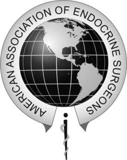 AMERICAN ASSOCIATION OF ENDOCRINE SURGEONS trademark