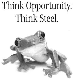 THINK OPPORTUNITY. THINK STEEL. trademark