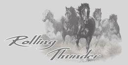 ROLLING THUNDER trademark