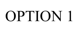 OPTION 1 trademark
