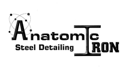ANATOMIC IRON STEEL DETAILING trademark