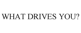 WHAT DRIVES YOU? trademark