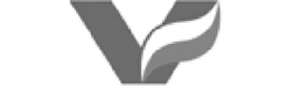 V trademark