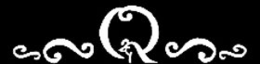 Q trademark