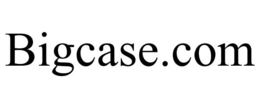BIGCASE.COM trademark