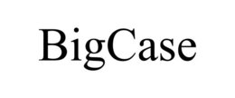 BIGCASE trademark