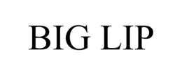 BIG LIP trademark