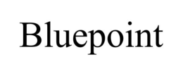 BLUEPOINT trademark