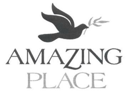 AMAZING PLACE trademark