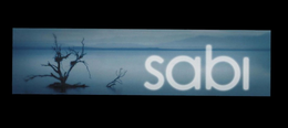 SABI trademark