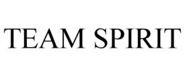 TEAM SPIRIT trademark