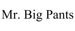 MR. BIG PANTS trademark