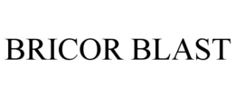 BRICOR BLAST trademark