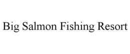 BIG SALMON FISHING RESORT trademark