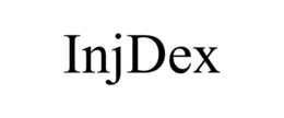 INJDEX trademark